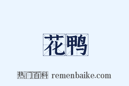 花鸭是什么意思的图片